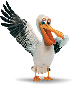 Pelican PNG-46588